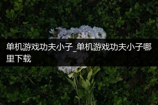 单机游戏功夫小子_单机游戏功夫小子哪里下载