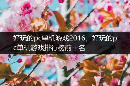 好玩的pc单机游戏2016，好玩的pc单机游戏排行榜前十名