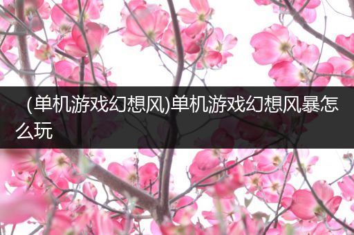 （单机游戏幻想风)单机游戏幻想风暴怎么玩