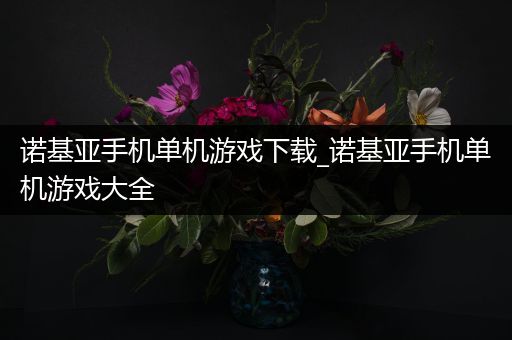 诺基亚手机单机游戏下载_诺基亚手机单机游戏大全