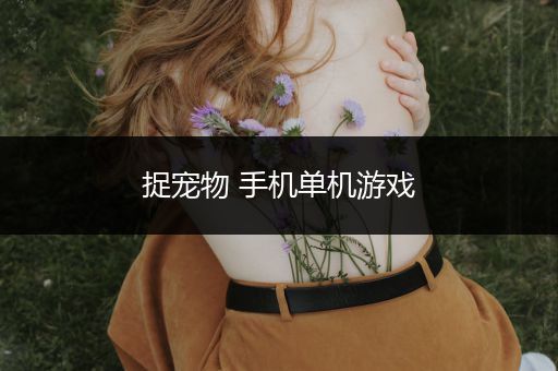 捉宠物 手机单机游戏