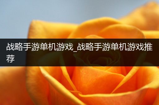 战略手游单机游戏_战略手游单机游戏推荐