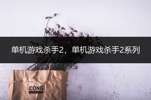 单机游戏杀手2，单机游戏杀手2系列