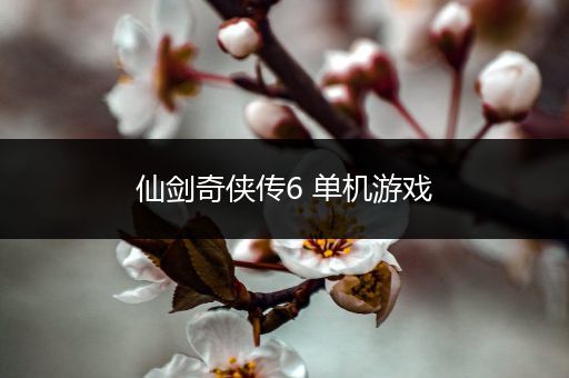 仙剑奇侠传6 单机游戏