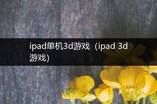 ipad单机3d游戏（ipad 3d游戏）