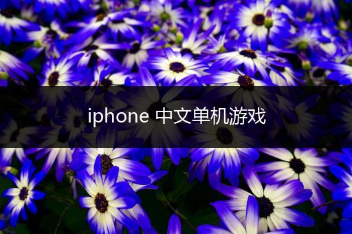 iphone 中文单机游戏