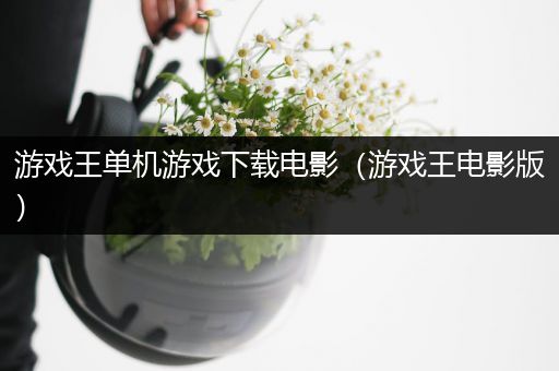 游戏王单机游戏下载电影（游戏王电影版）
