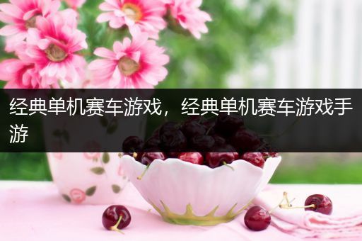 经典单机赛车游戏，经典单机赛车游戏手游