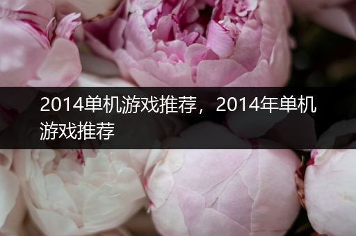 2014单机游戏推荐，2014年单机游戏推荐