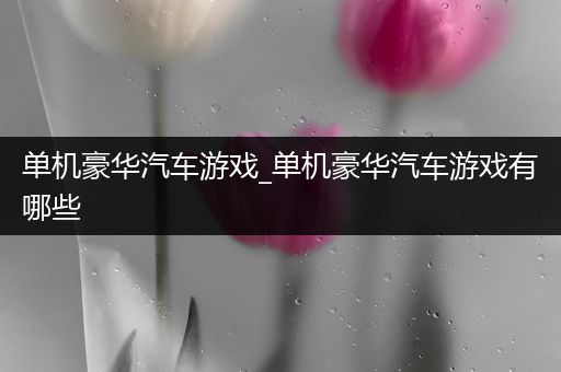 单机豪华汽车游戏_单机豪华汽车游戏有哪些
