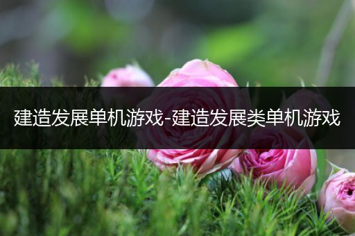 建造发展单机游戏-建造发展类单机游戏