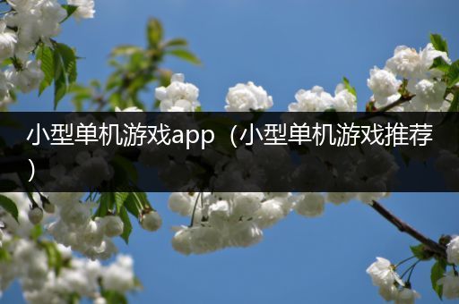 小型单机游戏app（小型单机游戏推荐）