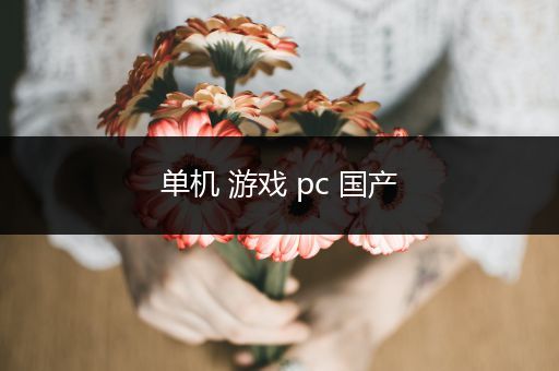 单机 游戏 pc 国产