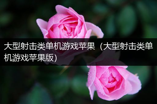 大型射击类单机游戏苹果（大型射击类单机游戏苹果版）