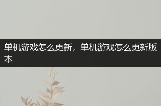 单机游戏怎么更新，单机游戏怎么更新版本