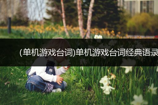 （单机游戏台词)单机游戏台词经典语录