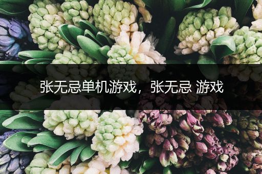 张无忌单机游戏，张无忌 游戏