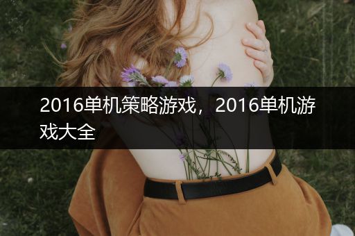 2016单机策略游戏，2016单机游戏大全