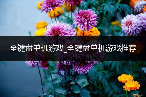 全键盘单机游戏_全键盘单机游戏推荐