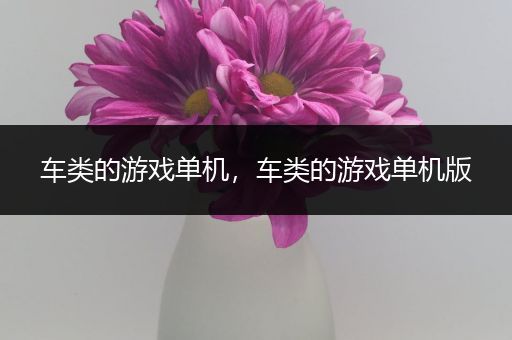 车类的游戏单机，车类的游戏单机版