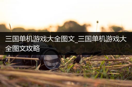 三国单机游戏大全图文_三国单机游戏大全图文攻略
