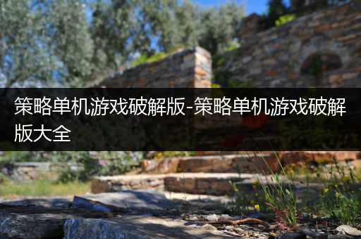 策略单机游戏破解版-策略单机游戏破解版大全