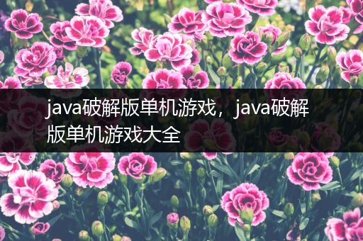 java破解版单机游戏，java破解版单机游戏大全