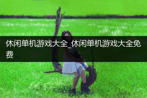 休闲单机游戏大全_休闲单机游戏大全免费
