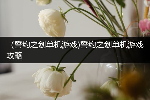 （誓约之剑单机游戏)誓约之剑单机游戏攻略