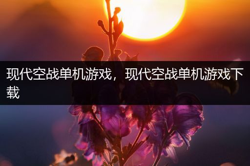 现代空战单机游戏，现代空战单机游戏下载