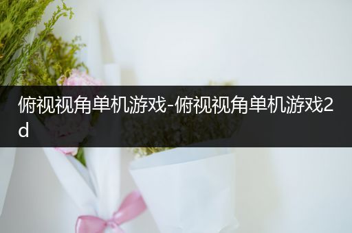 俯视视角单机游戏-俯视视角单机游戏2d