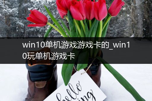 win10单机游戏游戏卡的_win10玩单机游戏卡