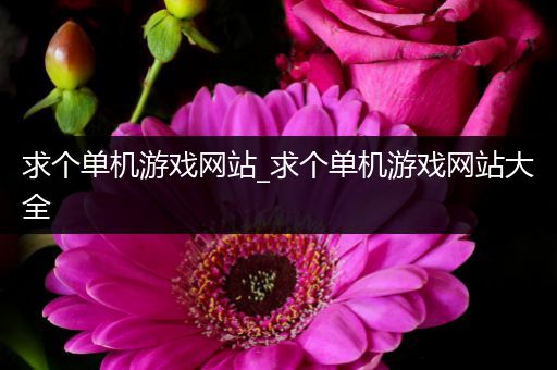 求个单机游戏网站_求个单机游戏网站大全