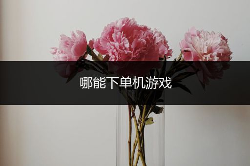 哪能下单机游戏