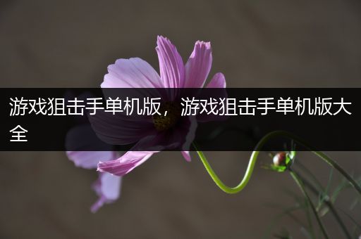 游戏狙击手单机版，游戏狙击手单机版大全