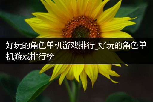 好玩的角色单机游戏排行_好玩的角色单机游戏排行榜