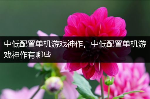 中低配置单机游戏神作，中低配置单机游戏神作有哪些