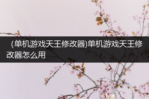 （单机游戏天王修改器)单机游戏天王修改器怎么用