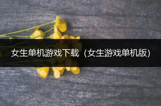 女生单机游戏下载（女生游戏单机版）