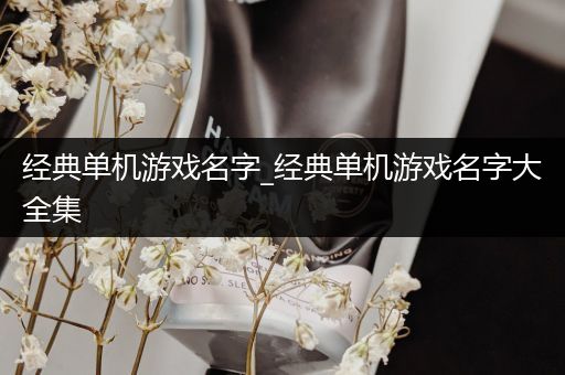 经典单机游戏名字_经典单机游戏名字大全集