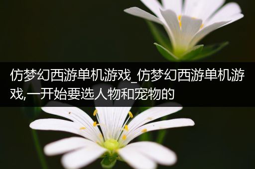 仿梦幻西游单机游戏_仿梦幻西游单机游戏,一开始要选人物和宠物的