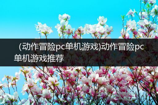 （动作冒险pc单机游戏)动作冒险pc单机游戏推荐