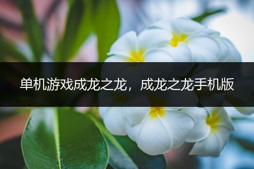 单机游戏成龙之龙，成龙之龙手机版