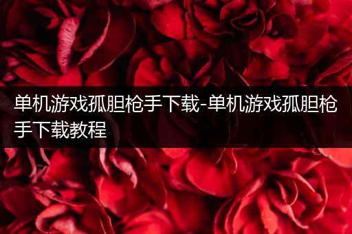 单机游戏孤胆枪手下载-单机游戏孤胆枪手下载教程