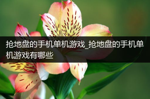 抢地盘的手机单机游戏_抢地盘的手机单机游戏有哪些