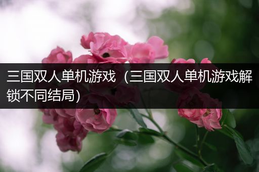 三国双人单机游戏（三国双人单机游戏解锁不同结局）