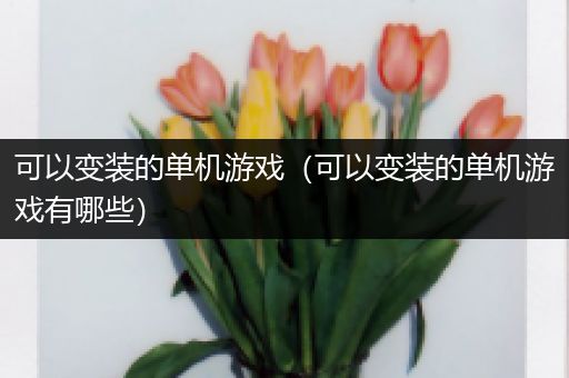 可以变装的单机游戏（可以变装的单机游戏有哪些）