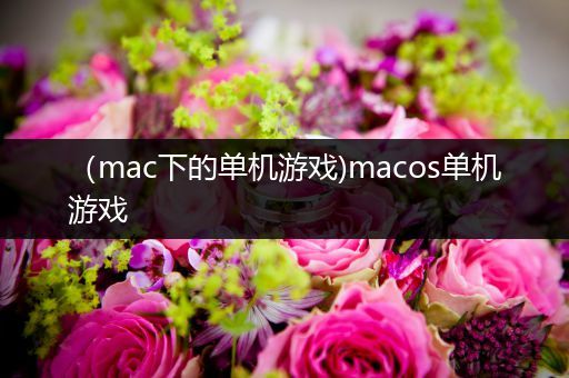 （mac下的单机游戏)macos单机游戏