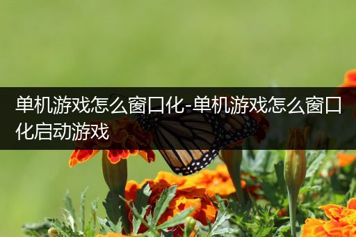 单机游戏怎么窗口化-单机游戏怎么窗口化启动游戏