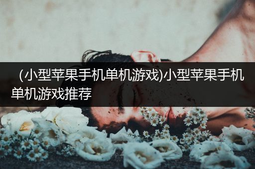 （小型苹果手机单机游戏)小型苹果手机单机游戏推荐